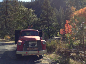 truck-600px