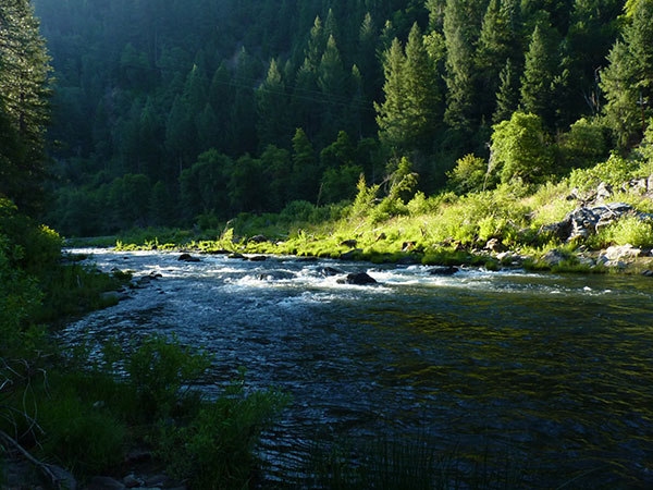 Feather River, photo by Steve Waltham 