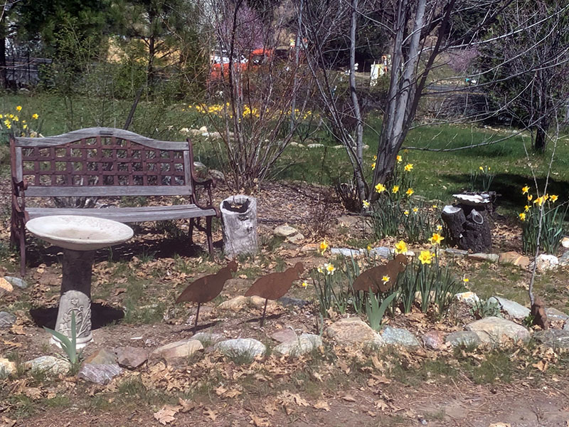 								Spring at Feather River Hot Springs			 								 								 								 													 								 				